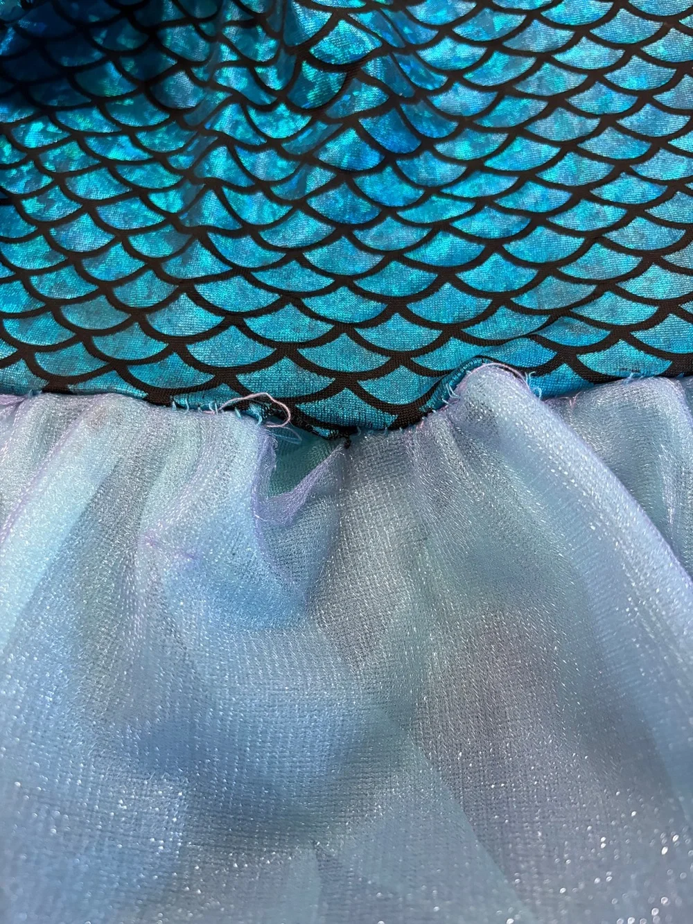 Two Princesses Mermaid Costume